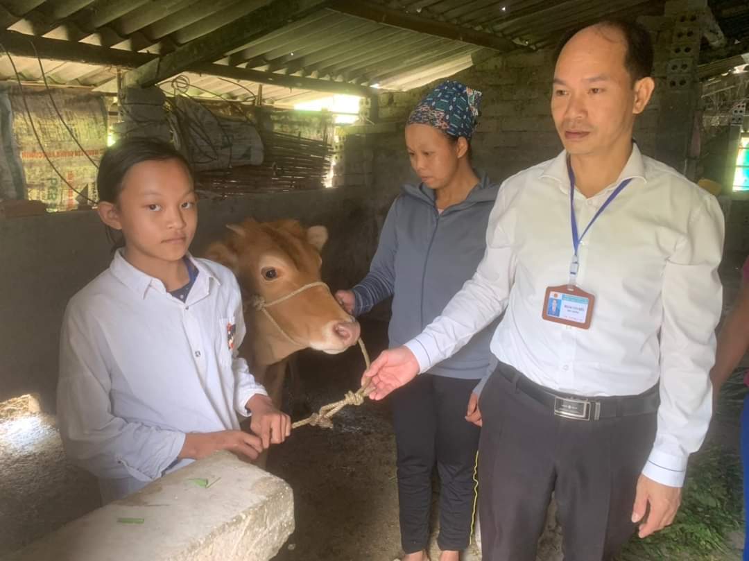 Ban Giám hiệu trường THCS Thị trấn Tam Sơn trao bò giống cho gia đình học sinh có hoàn cảnh khó khăn.