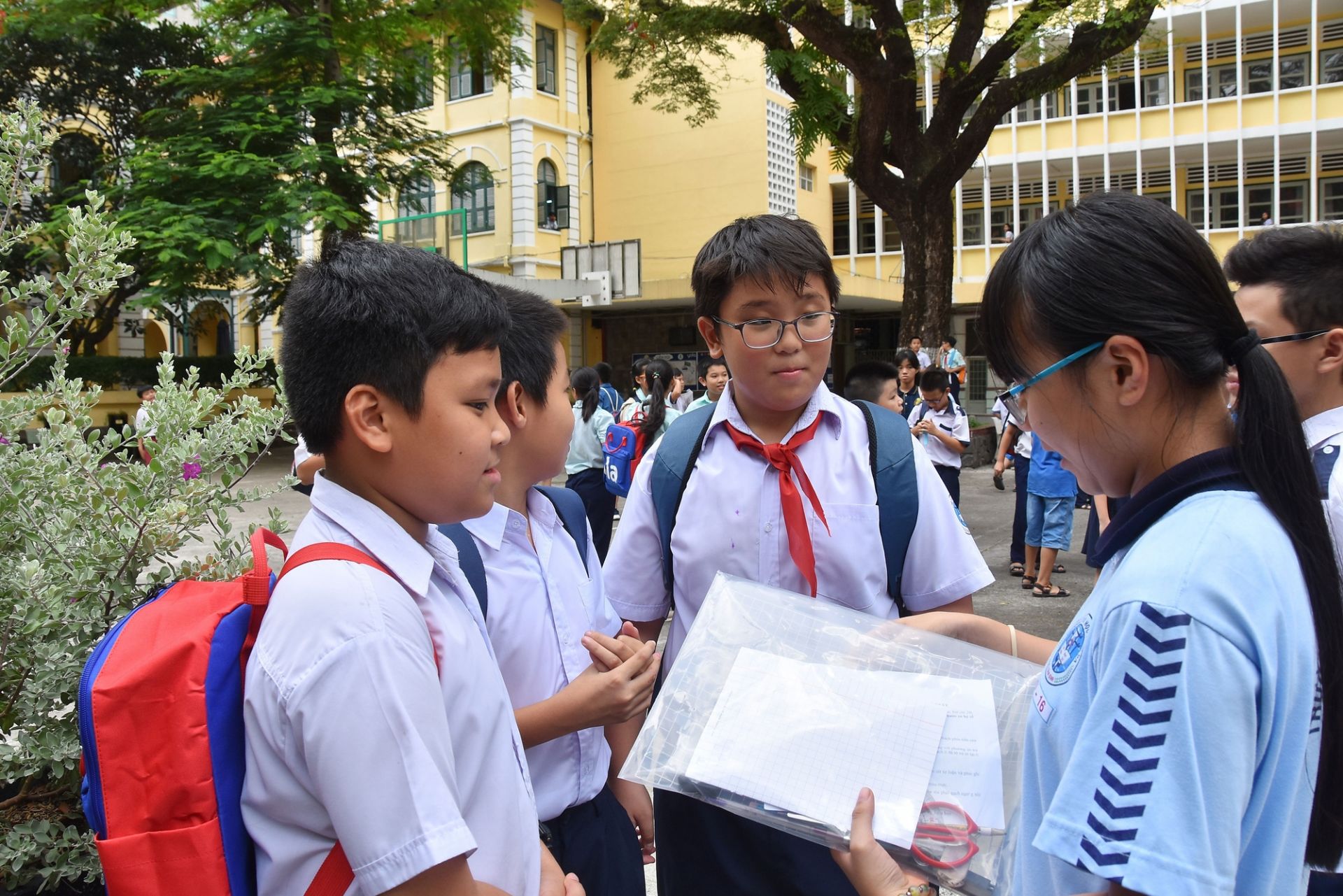 Thông tin mới nhất về tuyển sinh đầu cấp tại TP. Hồ Chí Minh