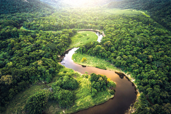 Amazon là
con sông dài nhất
(khoảng 6800 km)
và lớn nhất thế giới.
Riêng dòng sông này đã
chiếm 1/5 tổng lượng
nước sông trên Trái Đất.