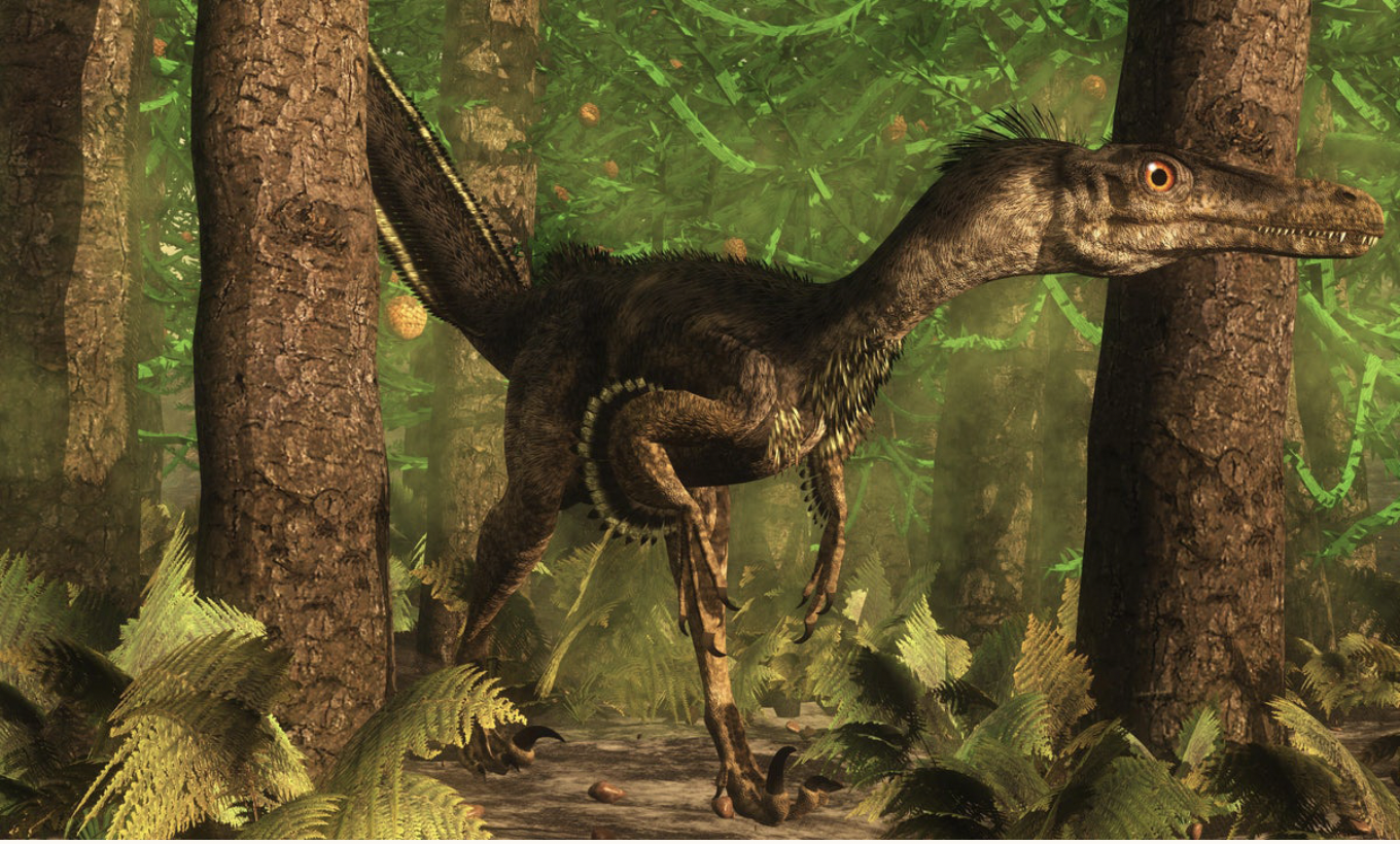 Mô phỏng khủng long Velociraptor.