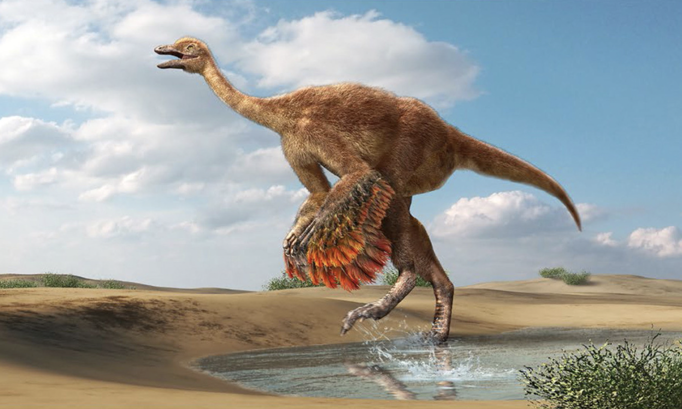 Mô phỏng khủng long Ornithomimosauria.