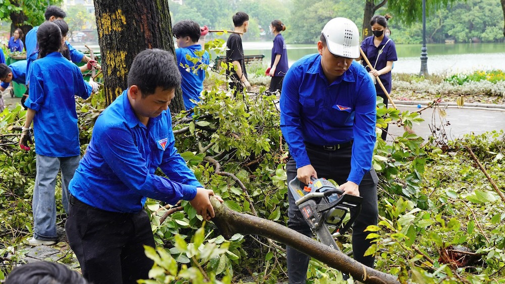 Đoàn viên, thanh niên TP. Hà Nội hỗ trợ dọn dẹp cây đổ do bão số 3.