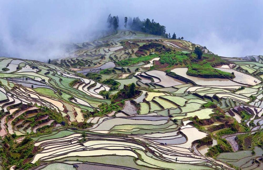 Với sự phối màu tài tình của thiên nhiên, ruộng bậc thang Yuanyang, Vân Nam, Trung Quốc, được UNESCO công nhận Di sản Thế giới vào năm 2013. Danh thắng này được xây dựng trên những ngọn núi đất đỏ cách đây hơn 2.500 năm, nằm trên độ cao gần 2.000 m so với mực nước biển. Những thửa ruộng ngập tràn nước suối màu xanh, nâu, vàng từ những cánh rừng đổ về, tạo khung cảnh huyền ảo.