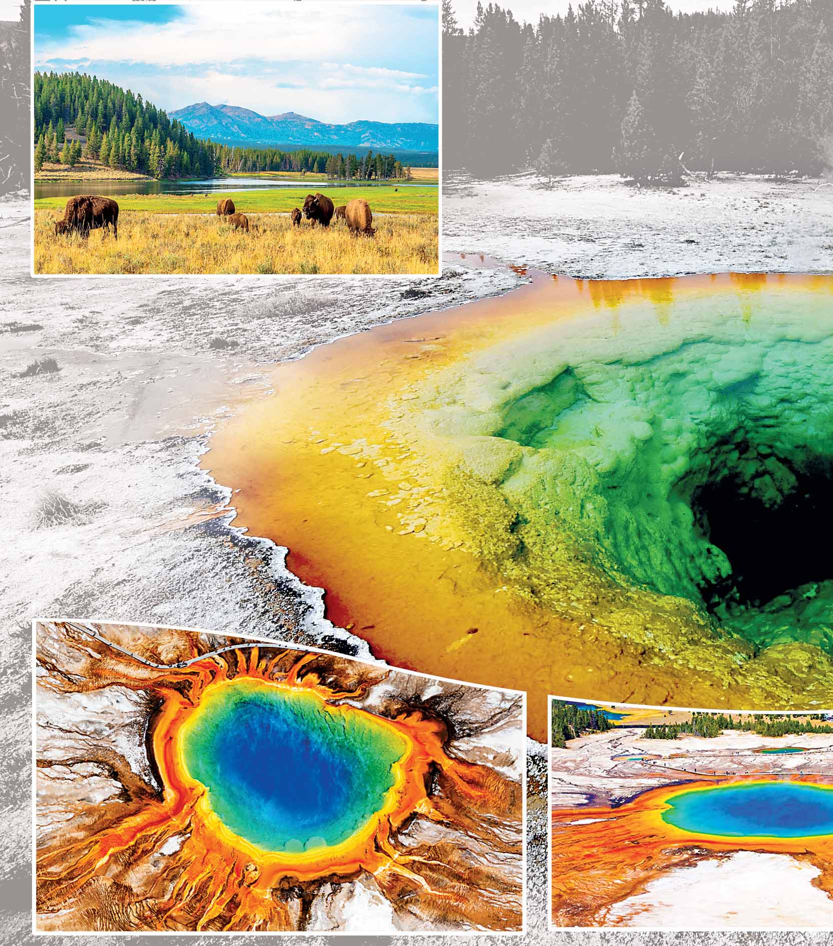 Cảnh quan thiên nhiên tươi đẹp ở Công viên quốc gia Yellowstone