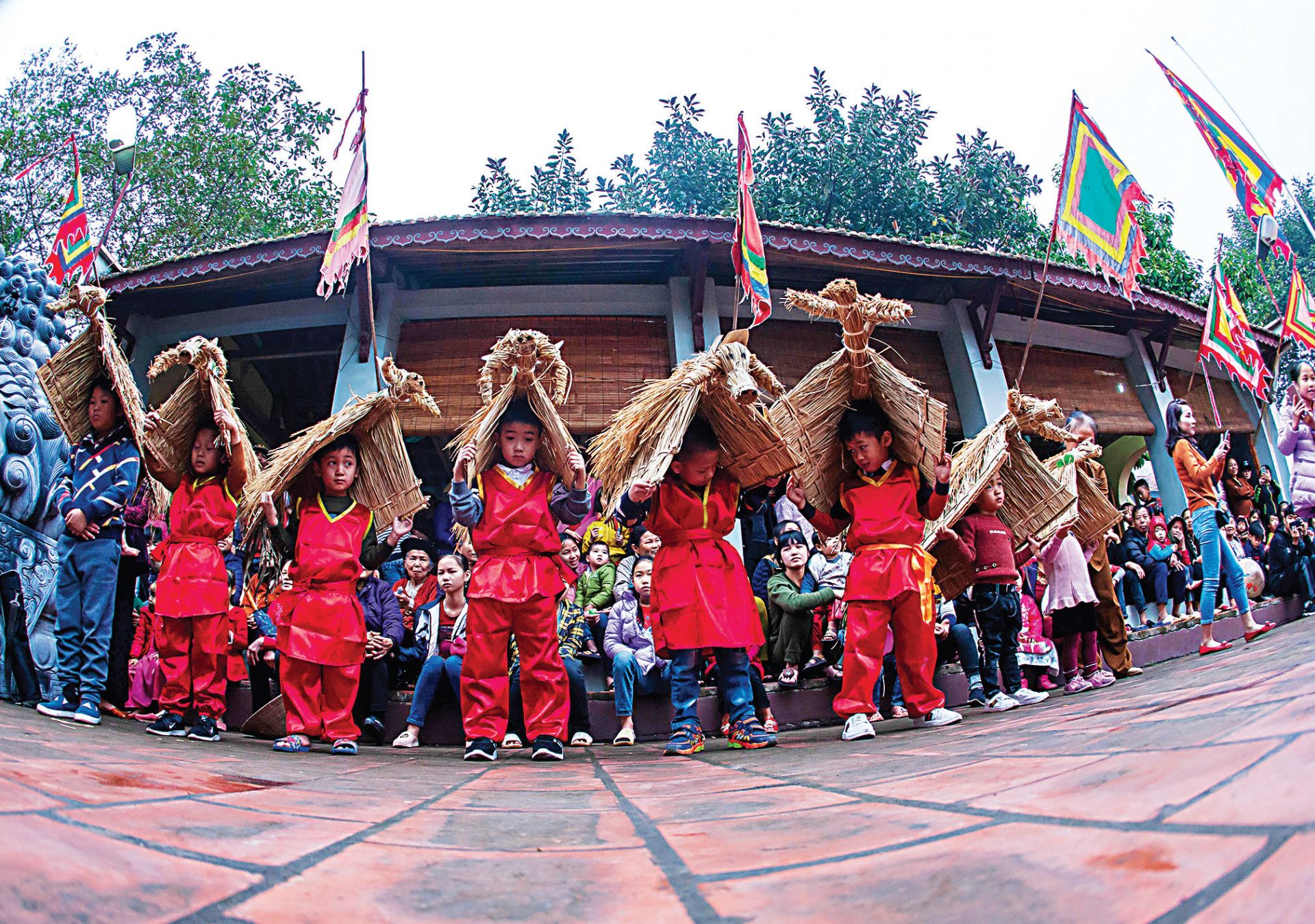 Những chú
“nghé con”
cũng đã sẵn sàng
“xuống ruộng”
đầu năm.