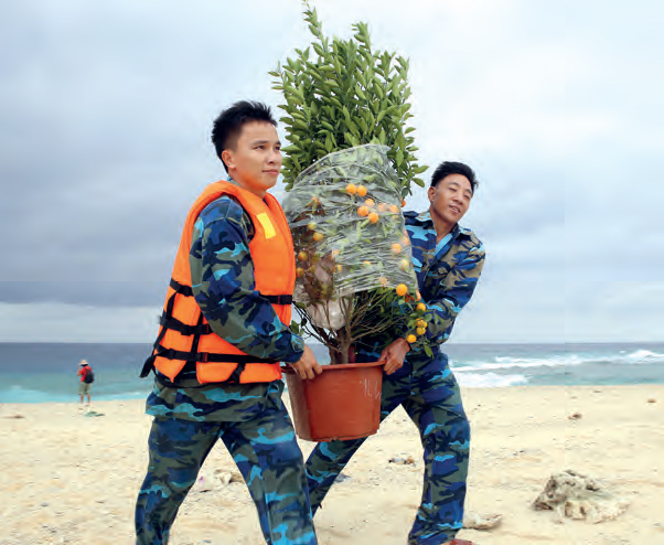 Hai chú bộ đội đón
cây quất trên bãi cát
của đảo An Bang.