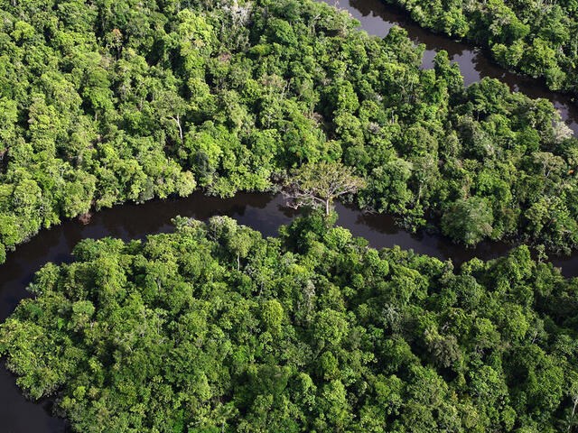 Brazil lắp đặt hơn 1.000 km cáp ngầm để đưa Internet tới Amazon. Ảnh WWF