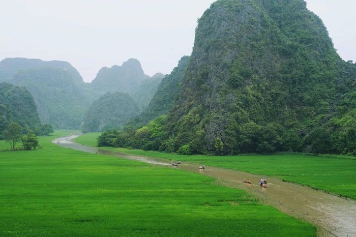 Cánh đồng lúa Tam Cốc có diện tích hơn 18ha, nổi tiếng là một trong những cánh đồng lúa đẹp nhất Việt Nam. Đây là điểm dừng chân dành cho những ai yêu thích thiên nhiên, muốn trải nghiệm cuộc sống gắn với núi non và sông nước.