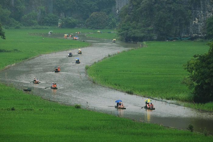 Hè sang, Tam Cốc (Ninh Bình) khoác lên mình màu xanh tươi mát của lúa, bao quanh dòng sông Ngô Đồng uốn lượn qua những ngọn núi đá vôi hùng vĩ.
