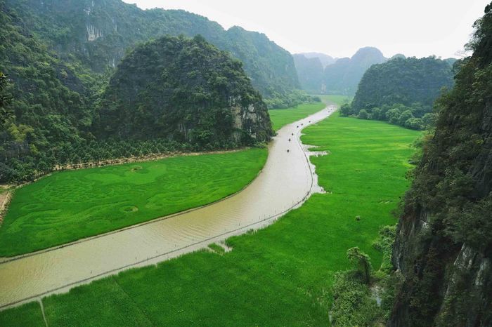 Năm nay, tại Khu du lịch Tam Cốc - Bích Động, người dân đã tạo dựng bức tranh lúa 'Cá vượt vũ môn' với mong muốn gửi gắm khát vọng vươn lên, đồng thời tạo điểm nhấn độc đáo để thu hút du khách đến tham quan.Năm nay, tại Khu du lịch Tam Cốc - Bích Động, người dân đã tạo dựng bức tranh lúa 'Cá vượt vũ môn' với mong muốn gửi gắm khát vọng vươn lên, đồng thời tạo điểm nhấn độc đáo để thu hút du khách đến tham quan