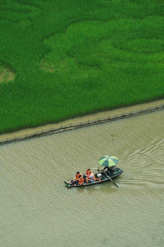 Đây là thời điểm lý tưởng để du khách tận hưởng không gian tĩnh lặng khi ngồi trên thuyền, lướt qua những cánh đồng lúa xanh mướt hai bên bờ sông.