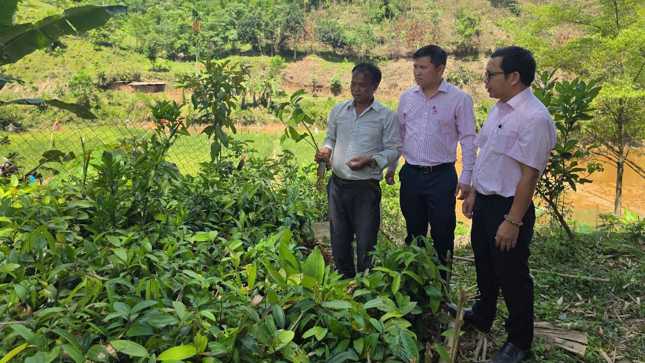 Nguồn vốn giúp xóa đói giảm nghèo cho huyện miền núi