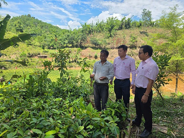 Có vốn ưu đãi tiếp sức, ông Riáh Trơn (ngoài cùng bên trái) ở thôn Agrồng, xã Atiêng đã xây dựng được trang trại kinh tế tổng hợp cho hiệu quả kinh tế cao