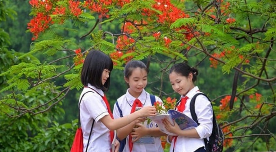 Đồng bộ, hiệu quả trong dạy học hai buổi/ngày và sinh hoạt hè cho học sinh