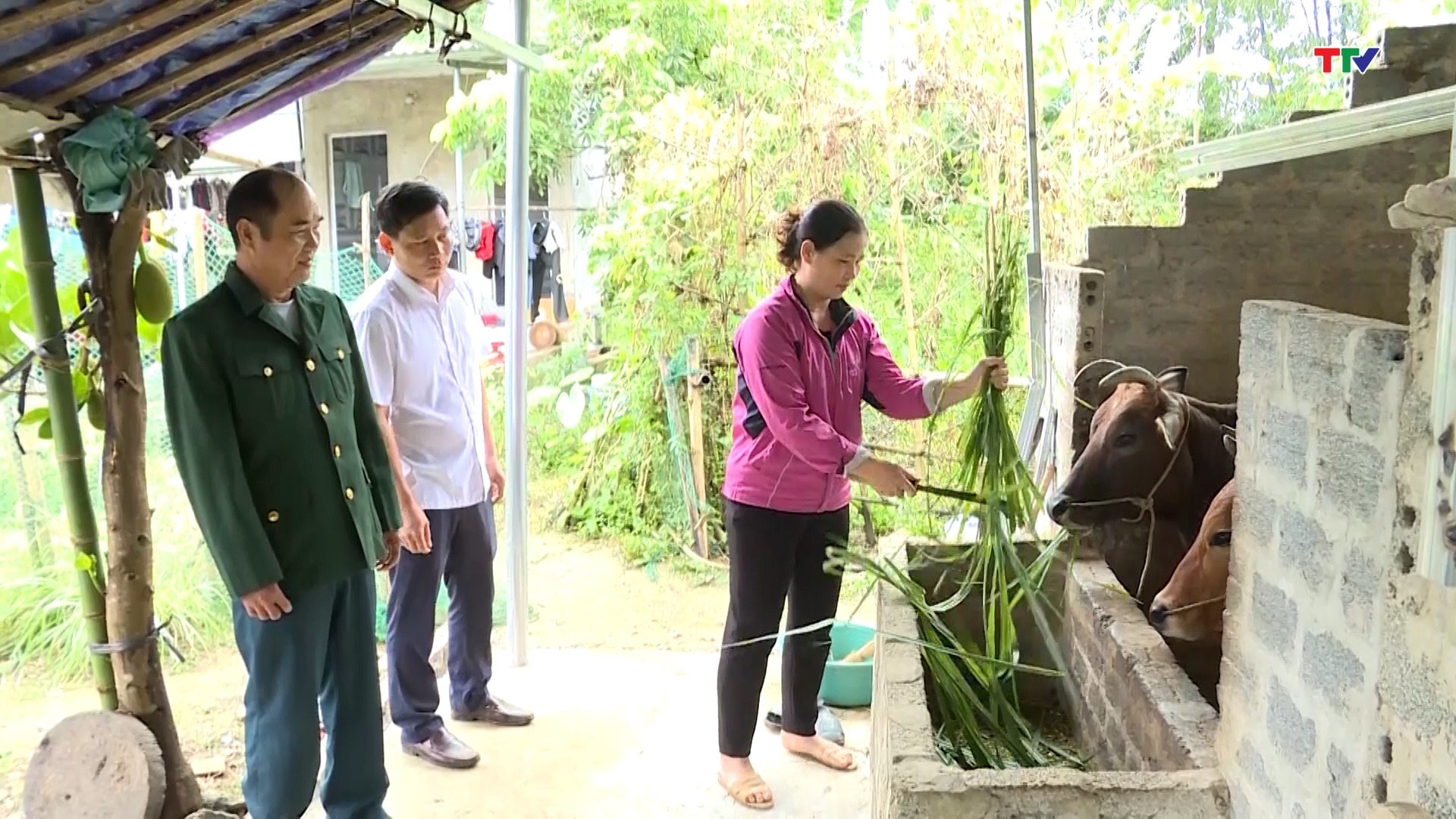 Nông dân huyện Bá Thước giảm nghèo nhờ những chính sách đúng đắn của chính quyền địa phương Nông dân huyện Bá Thước giảm nghèo nhờ những chính sách đúng đắn của chính quyền địa phương
