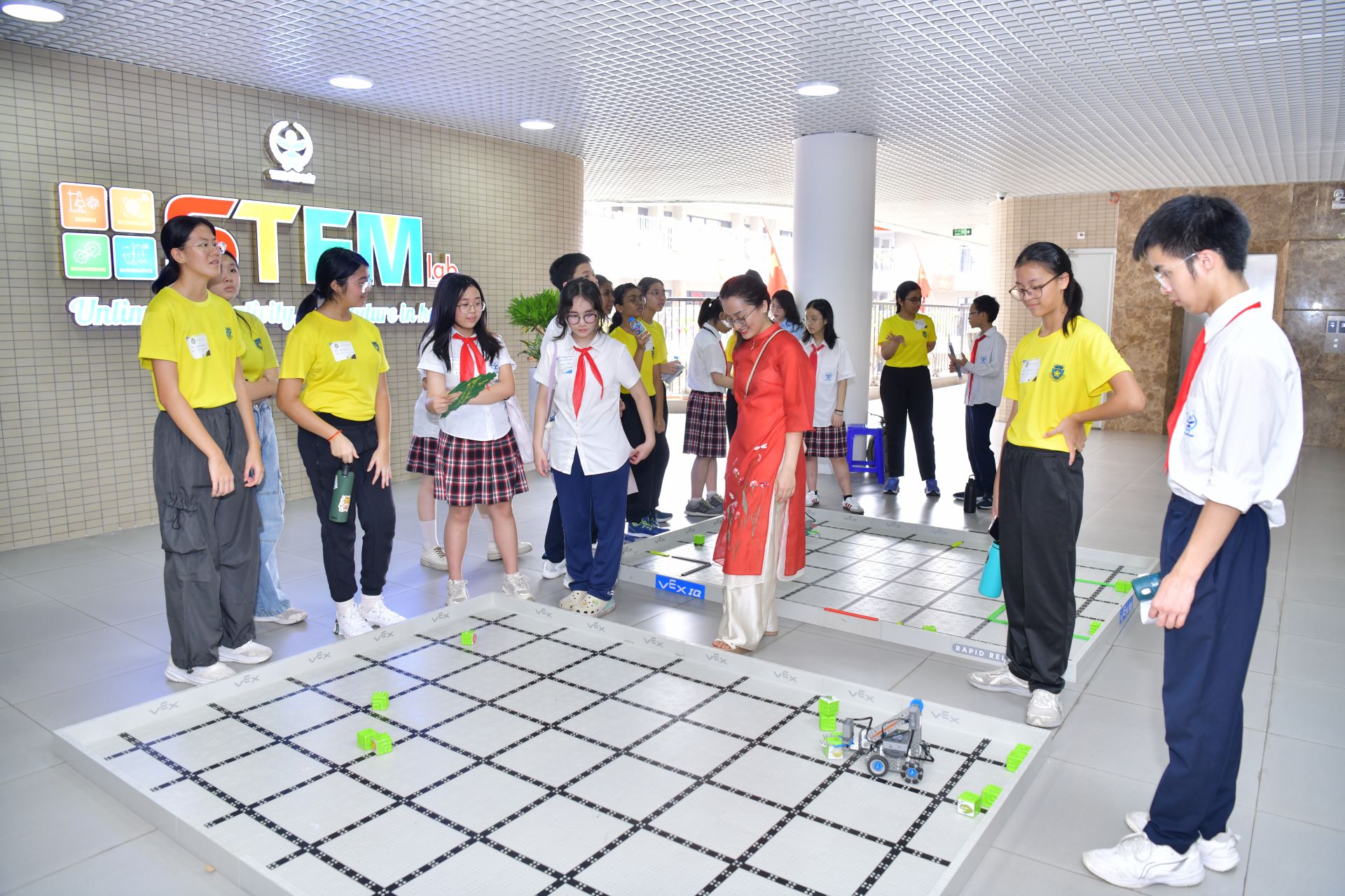 Luật mới khuy