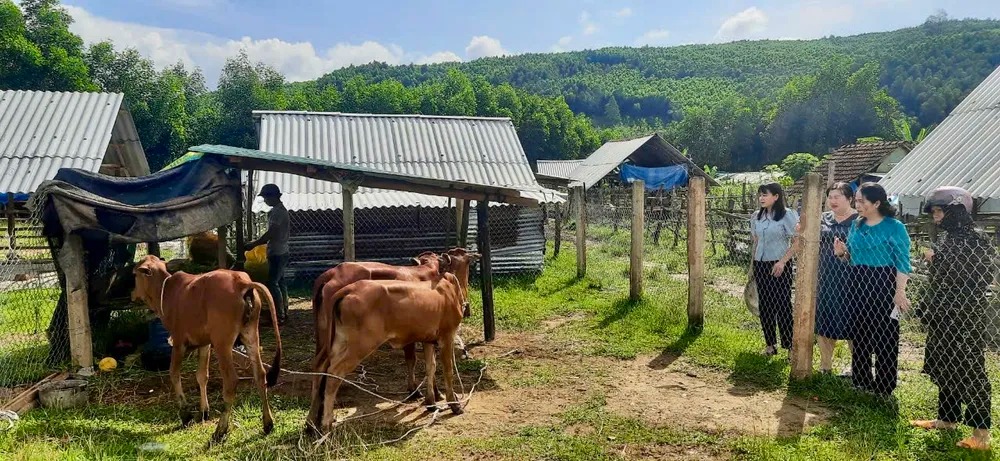 Bình Định đạt được nhiều thành tựu trong giảm nghèo Bình Định đạt được nhiều thành tựu trong giảm nghèo