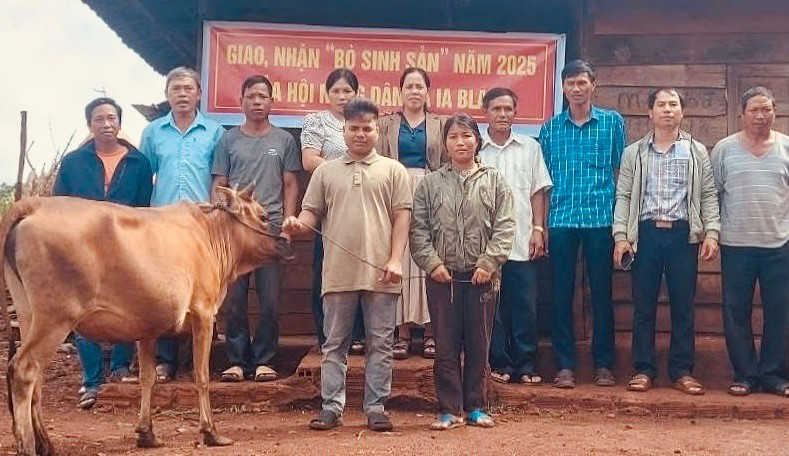 Vợ chồng anh Rah Lan Luyện (hàng đầu; làng Mung Hlú, xã Ia Blang, huyện Chư Sê) được Hội Nông dân xã Ia Blang trao bò sinh sản.