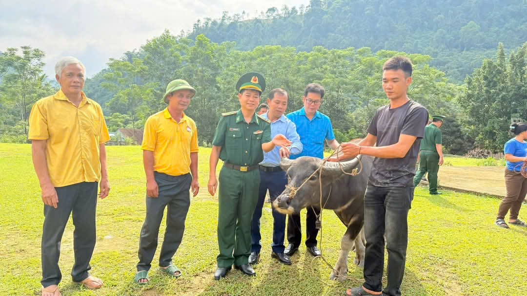 Một hộ gia đình nhận trâu từ Bộ đội Biên phòng Một hộ gia đình nhận trâu từ Bộ đội Biên phòng