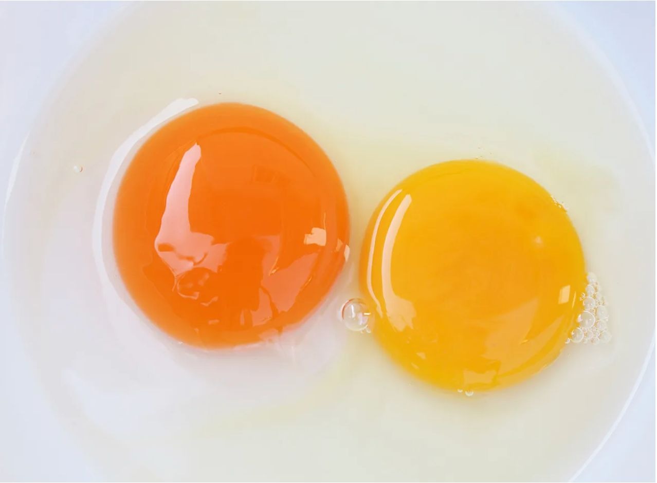 Không có nhiều khác biệt giữa trứng nuôi thả và trứng nuôi chuồng Không có nhiều khác biệt giữa trứng nuôi thả và trứng nuôi chuồng