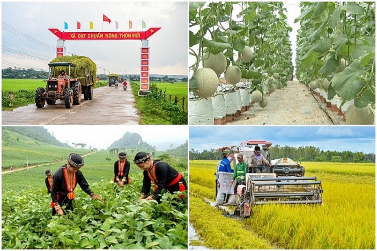 Giảm nghèo cần phải có sự đồng bộ về cơ sở hạ tầng và nguồn lực hỗ trợ người dân Giảm nghèo cần phải có sự đồng bộ về cơ sở hạ tầng và nguồn lực hỗ trợ người dân