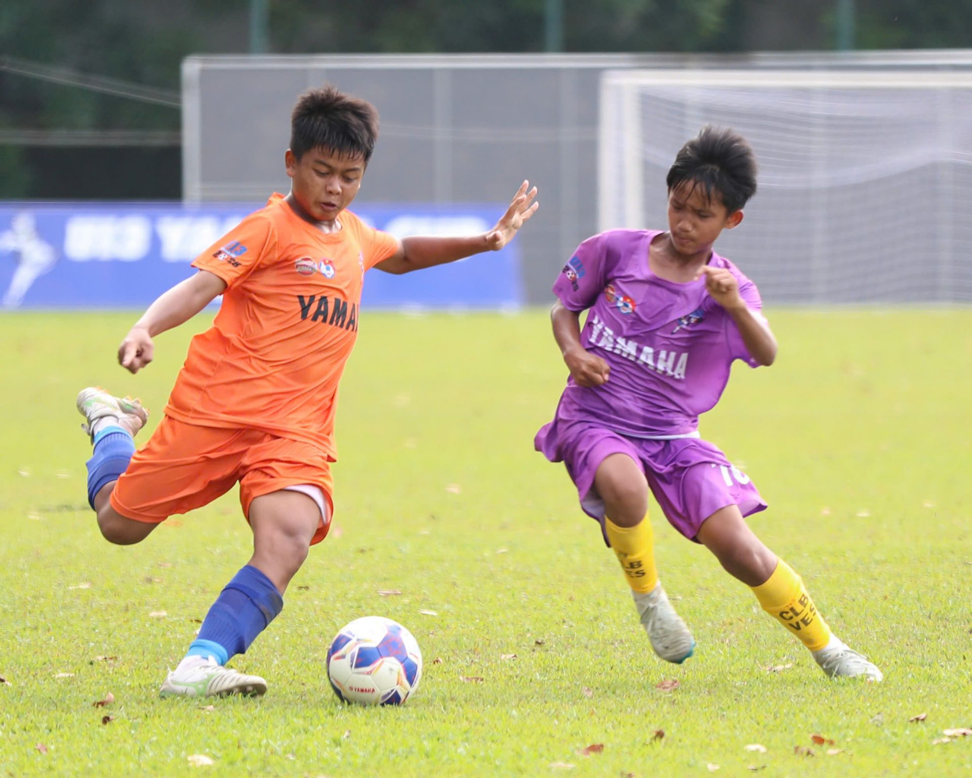 U13 SHB Đà Nẵng sẽ tiếp tục là “chú ngựa ô” khó chịu tại vòng Tứ kết U13 SHB Đà Nẵng sẽ tiếp tục là “chú ngựa ô” khó chịu tại vòng Tứ kết