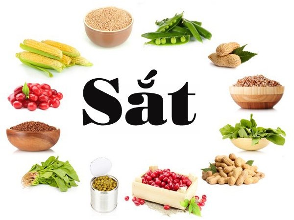 Nên tăng cường thực phẩm giàu sắt cho trẻ em Nên tăng cường thực phẩm giàu sắt cho trẻ em