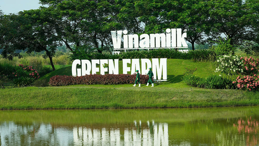 Trang trại Vinamilk Green Farm dưới lăng kính phát triển bền vững có gì đặc biệt?