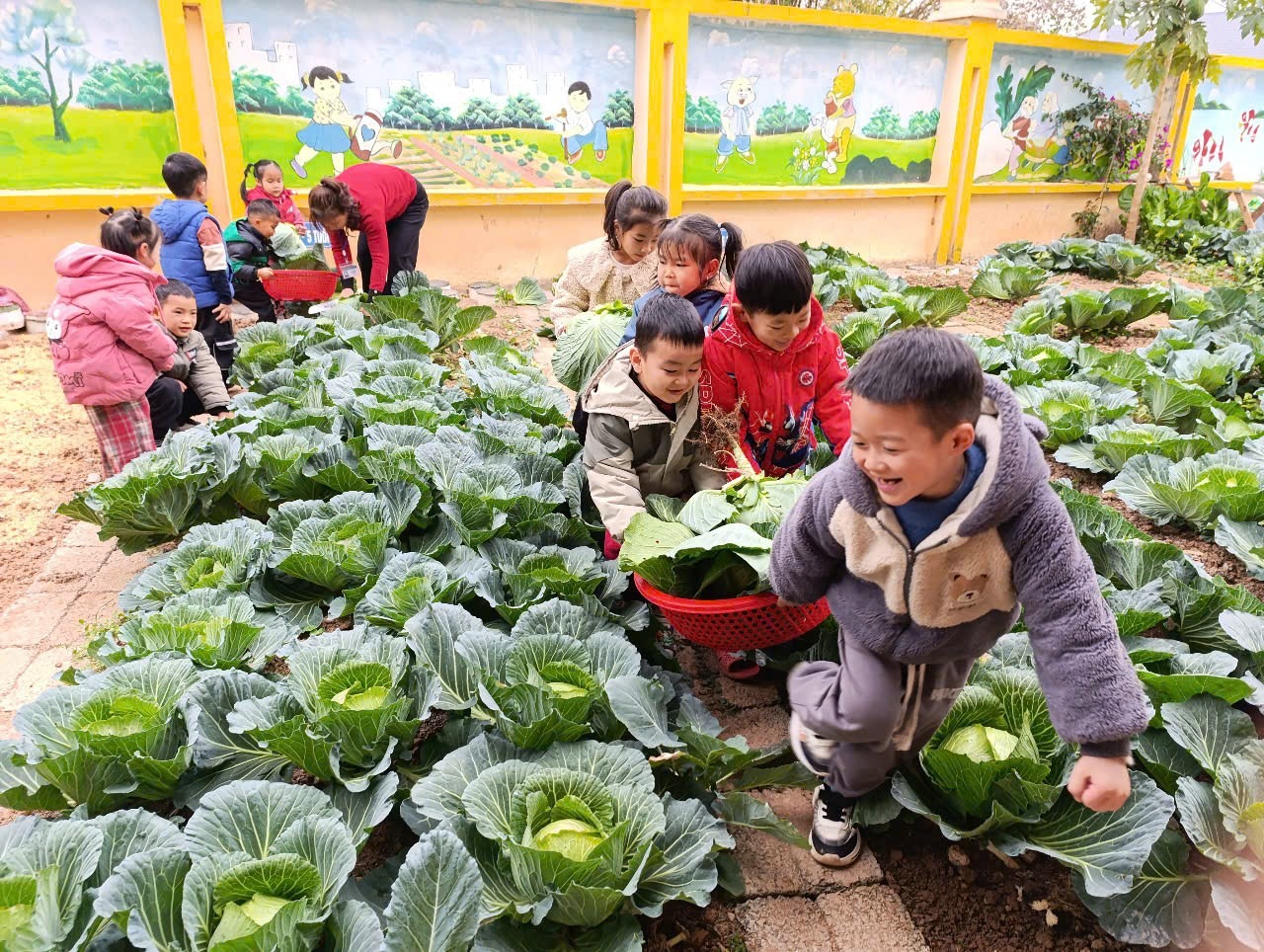 Đừng quên bổ sung rau xanh, trái cây vào thực đơn hằng ngày, các bạn nhé!