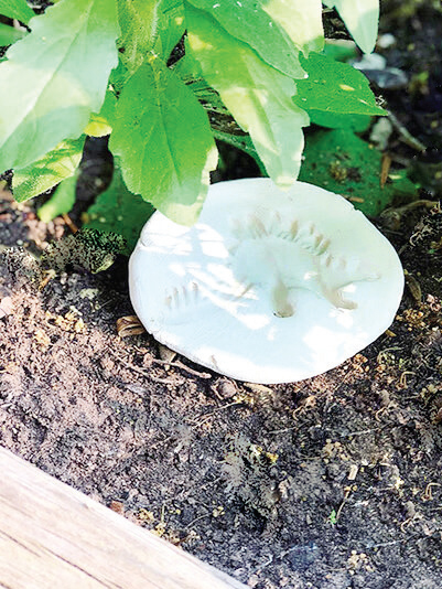 Tèn tén tén! Vậy là một bộ hóa thạch khủng long đã xuất hiện rồi. Bạn hãy
làm nhiều hóa thạch khủng long như thế rồi đem giấu ở các góc bí mật trong
khu vườn nhà bạn. Khi trò chơi bắt đầu, bạn hãy đố những thành viên còn lại
tìm cho đủ các hóa thạch khủng long nha!