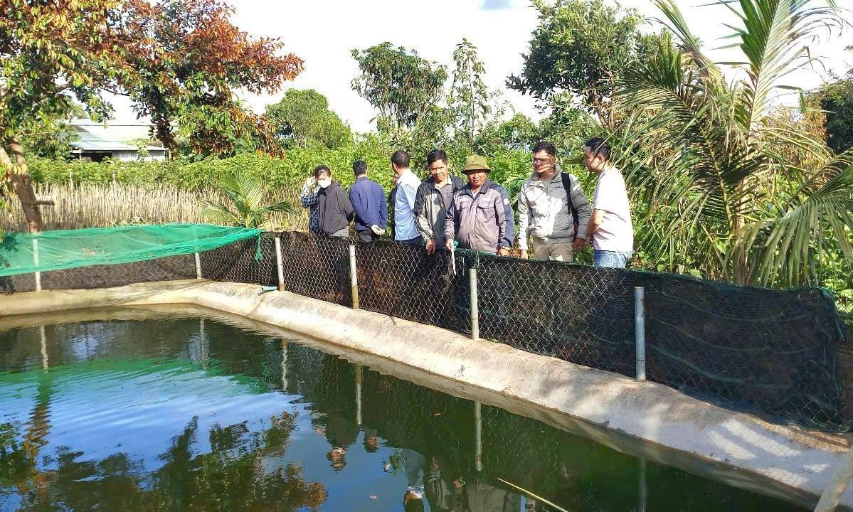 Khu vực ao nước nơi em Hoàng Minh Th trượt chân.