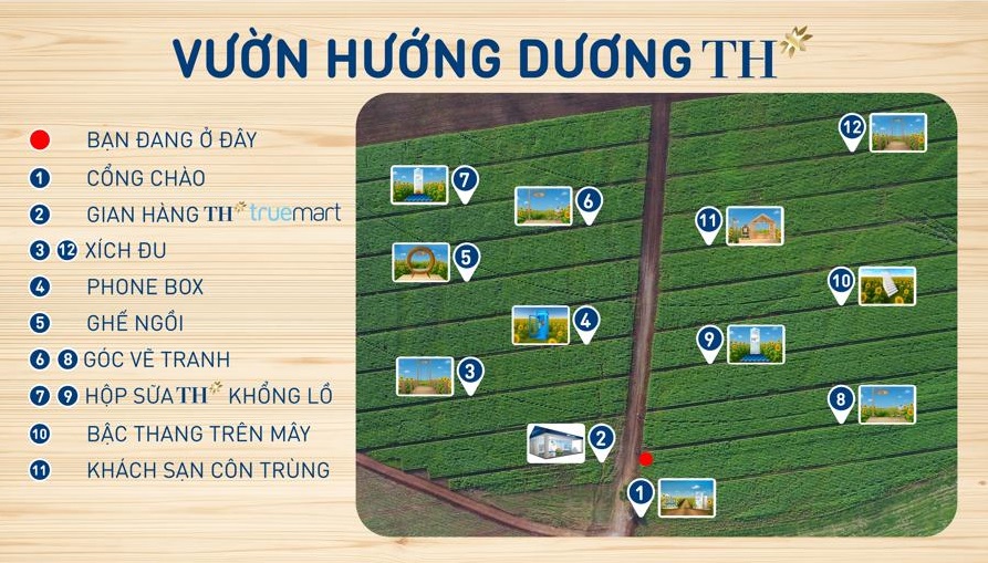 Sơ đồ c&aacute;c điểm check-in tại c&aacute;nh đồng hướng dương TH.