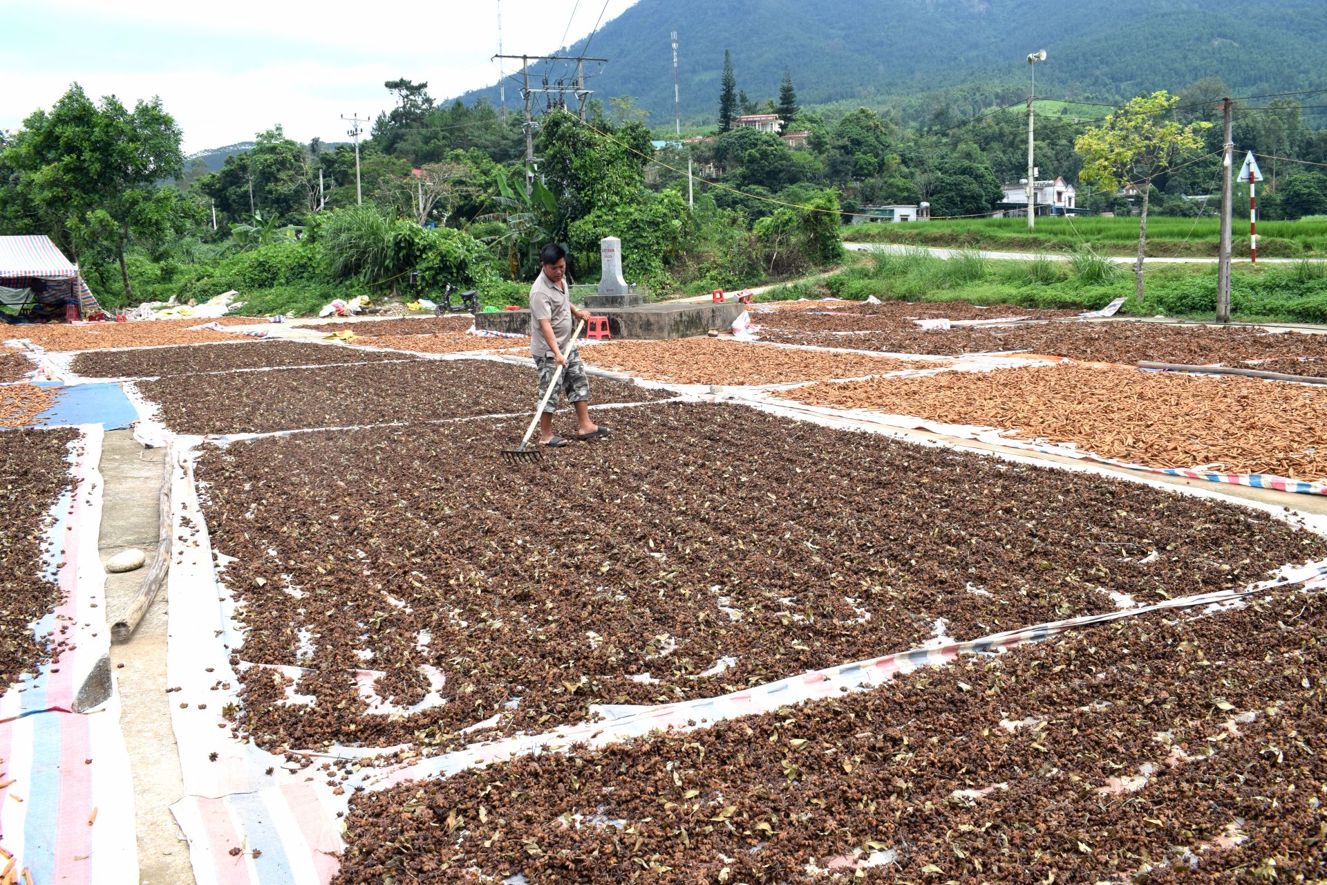 Người d&acirc;n phơi hồi tại th&ocirc;n Khu Chợ, x&atilde; Đồng Văn, huyện B&igrave;nh Li&ecirc;u.