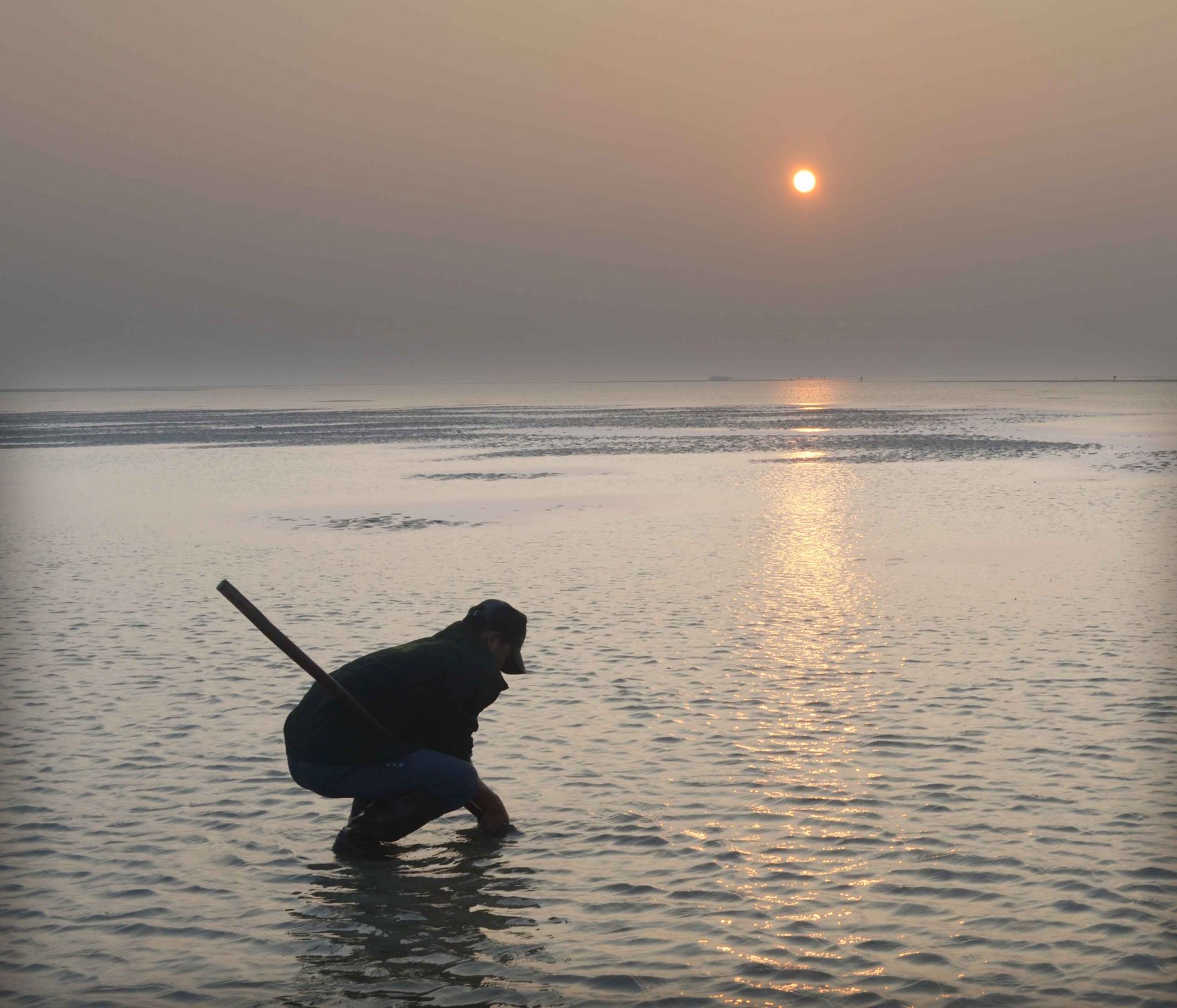 Nghề đ&agrave;o s&aacute; s&ugrave;ng trước đ&acirc;y l&agrave; nghề kiếm sống ch&iacute;nh của hầu hết phụ nữ ở Minh Ch&acirc;u v&agrave; Quan Lạn.