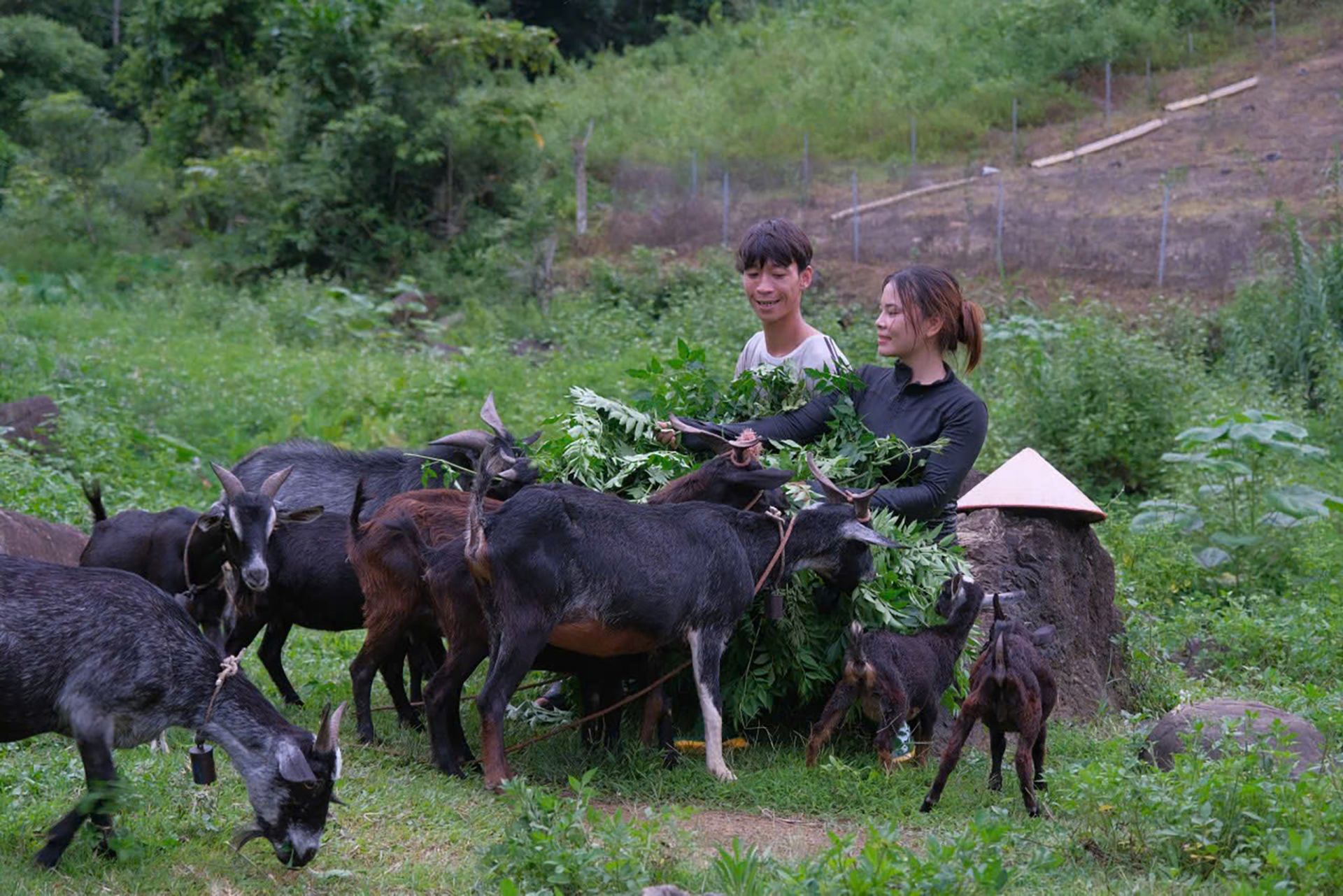 Gia đ&igrave;nh anh H&agrave; Văn S&aacute;ng quyết t&acirc;m l&agrave;m gi&agrave;u từ lợi thế n&ocirc;ng nghiệp qu&ecirc; nh&agrave;.