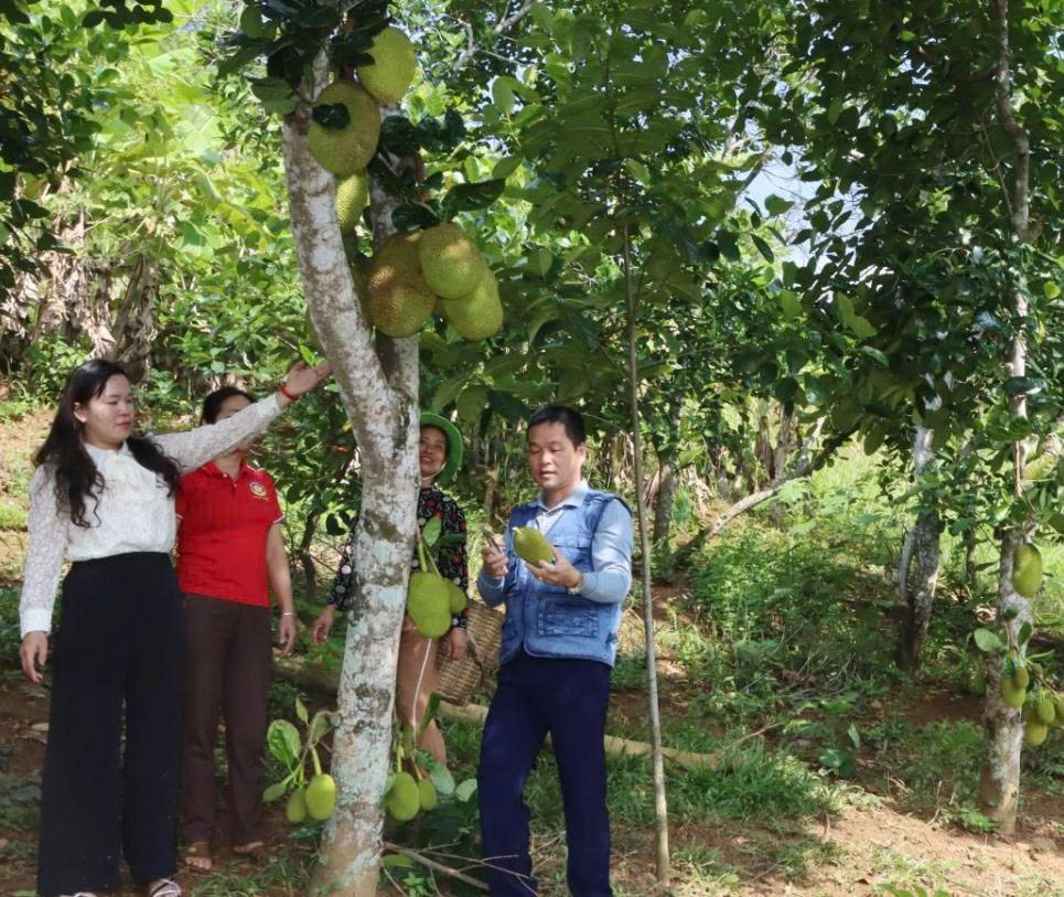 Phụ nữ x&atilde; Gia Ph&ugrave; tuy&ecirc;n truyền, hướng dẫn nh&acirc;n d&acirc;n m&ocirc; h&igrave;nh trồng c&acirc;y ăn quả tr&ecirc;n đất dốc.