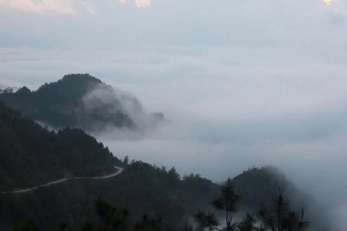 Vẻ đẹp qu&ecirc; hương, qua c&aacute;ch nh&igrave;n của anh A Tủa, đ&atilde; trở th&agrave;nh ch&igrave;a kh&oacute;a mở ra con đường tho&aacute;t ngh&egrave;o cho b&agrave; con Ph&igrave;nh Hồ.