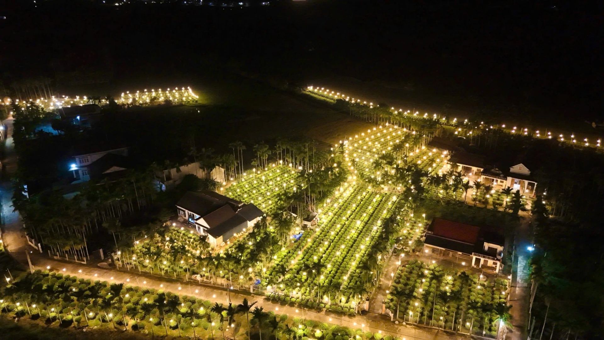 Những vườn hoa chong đ&egrave;n s&aacute;ng lung linh dưới bầu trời đ&ecirc;m.