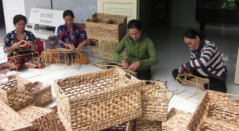 Nghề đan giỏ lục b&igrave;nh gi&uacute;p nhiều phụ nữ ở Cần Thơ tăng thu nhập, ổn định cuộc sống.
