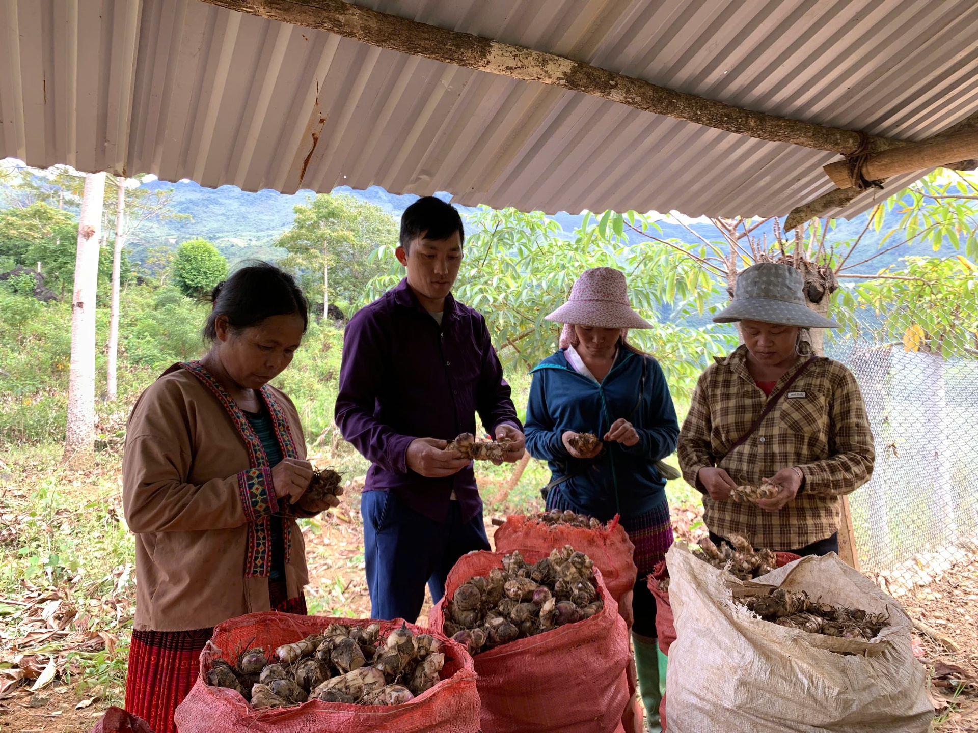 Mỗi năm, tỉnh Lai Ch&acirc;u c&oacute; h&agrave;ng ngh&igrave;n hộ n&ocirc;ng d&acirc;n đạt danh hiệu hộ n&ocirc;ng d&acirc;n sản xuất, kinh doanh giỏi c&aacute;c cấp.