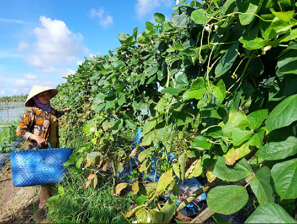 Người d&acirc;n C&agrave; Mau được hỗ trợ ph&ugrave; hợp để ph&aacute;t triển kinh tế.