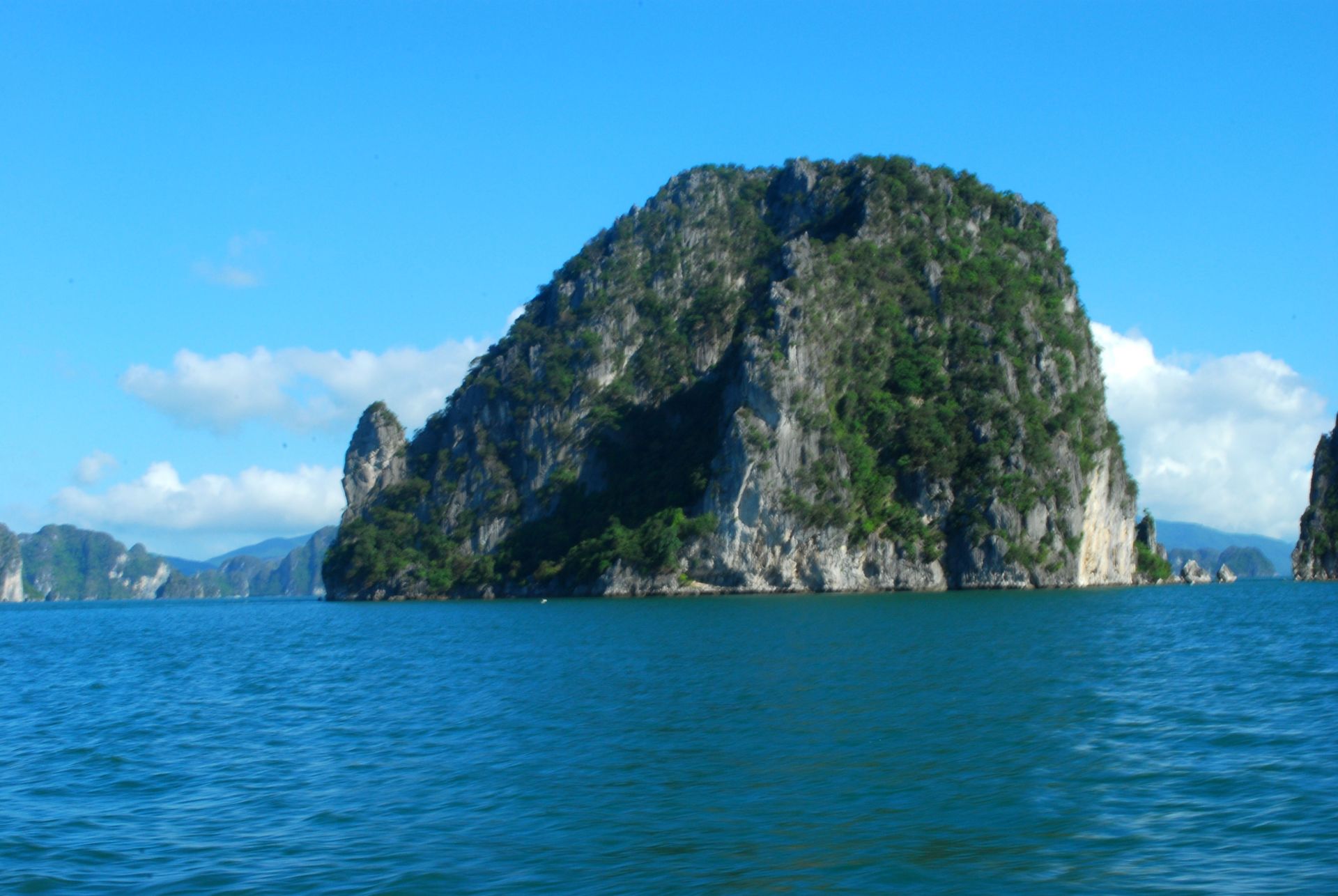 Đảo đ&aacute; tr&ocirc;ng giống ch&uacute; r&ugrave;a non với c&aacute;i đầu hơi th&ograve; ra khỏi mai.