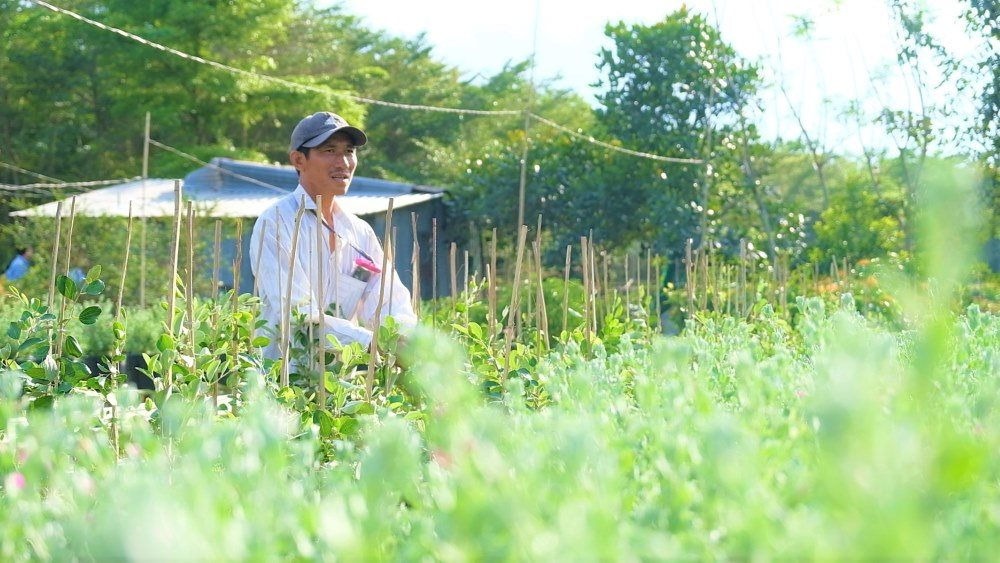 Đồng Th&aacute;p đ&atilde; triển khai nhiều m&ocirc; h&igrave;nh tho&aacute;t ngh&egrave;o bền vững cho b&agrave; con n&ocirc;ng d&acirc;n. 