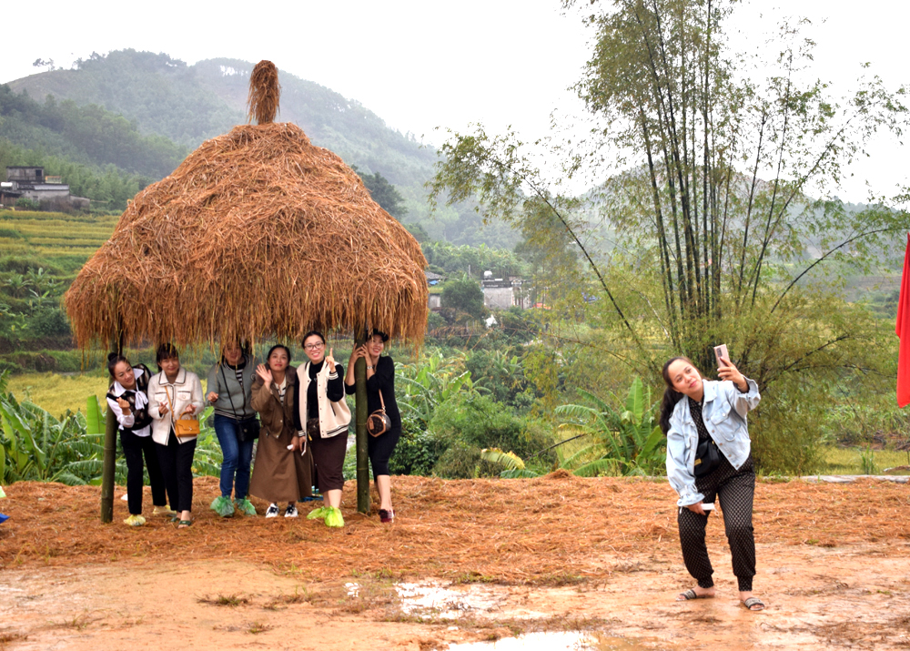 Kh&aacute;ch du lịch th&iacute;ch th&uacute; chụp ảnh với c&acirc;y rơm ở x&atilde; Đ&ocirc;ng Ngũ, tỉnh Quảng Ninh.