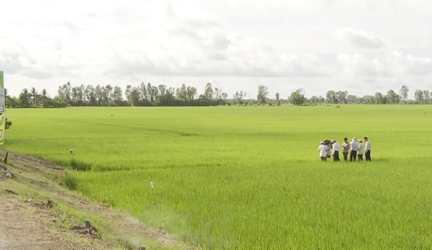 Sản xuất theo chuỗi gi&aacute; trị gi&uacute;p n&ocirc;ng d&acirc;n v&agrave; hợp t&aacute;c x&atilde; tăng thu nhập.