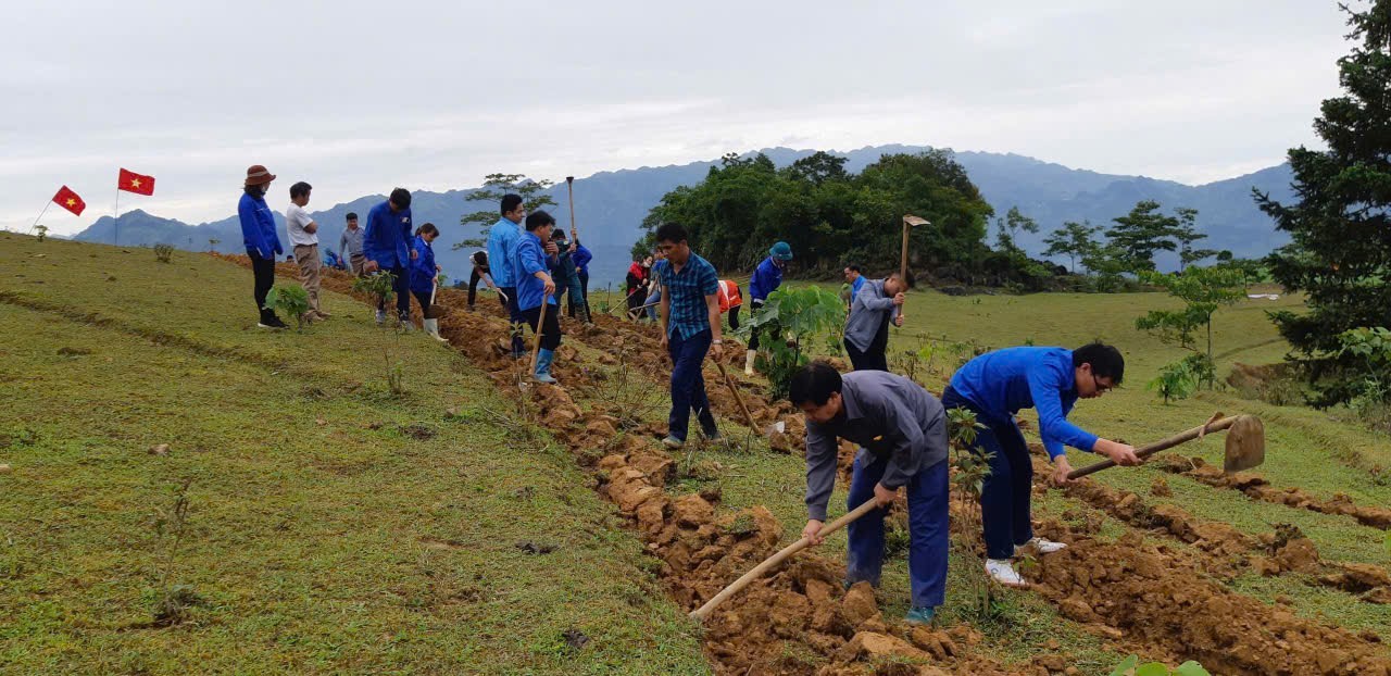 C&aacute;c đo&agrave;n thể c&ugrave;ng người d&acirc;n Pha Long chung tay trong phong tr&agrave;o trồng ch&egrave;.