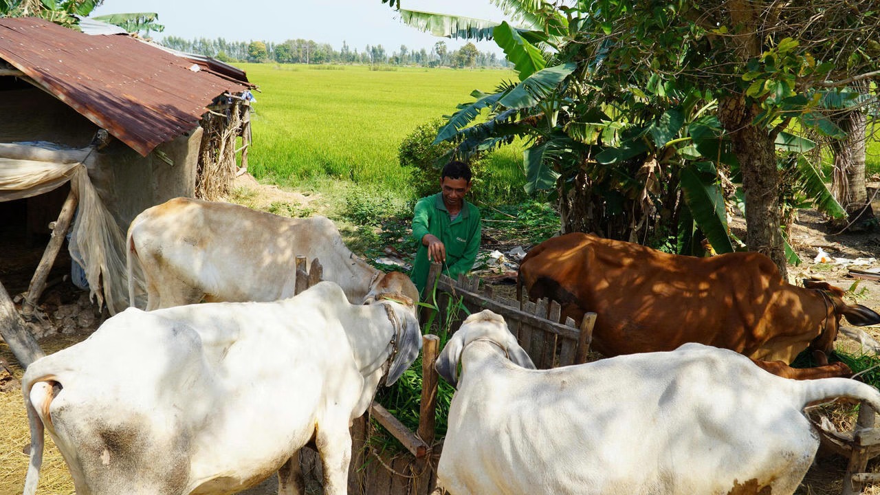 Dựa tr&ecirc;n c&aacute;c b&aacute;o c&aacute;o của Sở Nội vụ An Giang v&agrave;o th&aacute;ng 9/2025, nhu cầu về nh&agrave; ở của người d&acirc;n ngh&egrave;o vẫn rất bức thiết.