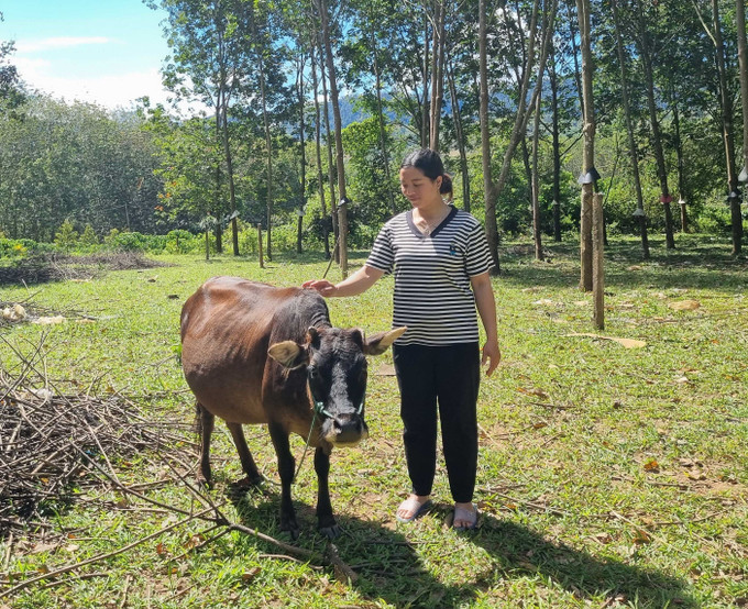 Từ b&ograve; c&aacute;i sinh sản v&agrave; đ&agrave;n lợn được hỗ trợ, chị Y Pha (th&ocirc;n Dục Nội, x&atilde; Dục N&ocirc;ng) đ&atilde; tho&aacute;t ngh&egrave;o v&agrave;o giữa năm 2024.