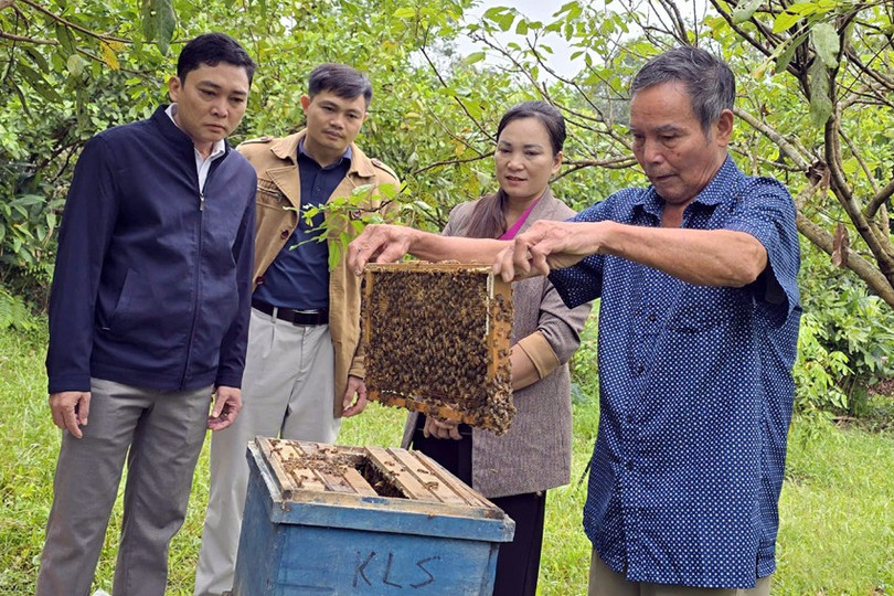Từ 10 đ&agrave;n ban đầu, đến nay &ocirc;ng Tuyển (ngo&agrave;i c&ugrave;ng b&ecirc;n tr&aacute;i) đ&atilde; nh&acirc;n l&ecirc;n hơn 50 đ&agrave;n ong v&agrave; cho thu mật đều đặn.