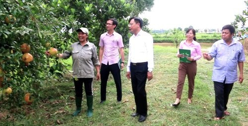 Mô h&igrave;nh trồng trọt, ph&aacute;t triển kinh tế từ vốn vay của ng&acirc;n h&agrave;ng ch&iacute;nh s&aacute;ch x&atilde; hội.